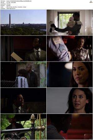 The Blacklist S01-S10 + Redemption DVDRip BDRip x264-Scene