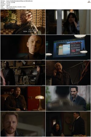 The Blacklist S01-S10 + Redemption DVDRip BDRip x264-Scene