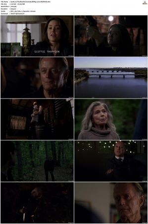 The Blacklist S01-S10 + Redemption DVDRip BDRip x264-Scene