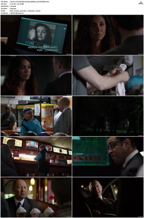 The Blacklist S01-S10 + Redemption DVDRip BDRip x264-Scene