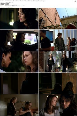 Terminator The Sarah Connor Chronicles S01 Bluray EAC3 5 1 1080p x265-iVy