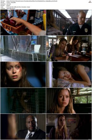 Terminator The Sarah Connor Chronicles S02 Bluray EAC3 5 1 1080p x265-iVy
