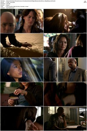 Terminator The Sarah Connor Chronicles S02 Bluray EAC3 5 1 1080p x265-iVy
