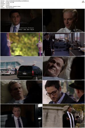The Blacklist S01-S10 + Redemption DVDRip BDRip x264-Scene