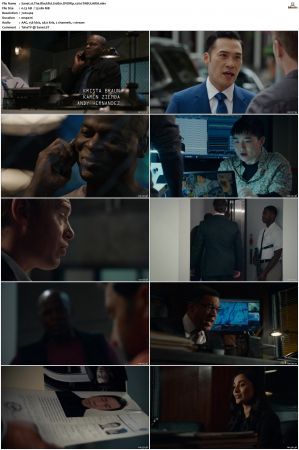 The Blacklist S01-S10 + Redemption DVDRip BDRip x264-Scene