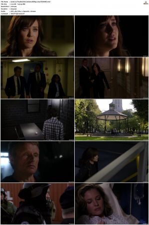 The Blacklist S01-S10 + Redemption DVDRip BDRip x264-Scene