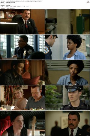 Blue Bloods S03 WEBRip EAC3 5 1 1080p x265-iVy