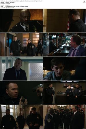 Blue Bloods S07 WEBRip EAC3 5 1 1080p x265-iVy