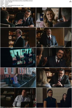 Blue Bloods S10 WEBRip EAC3 5.1 1080p x265-iVy