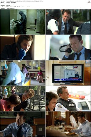 Blue Bloods S02 WEBRip EAC3 5 1 1080p x265-iVy