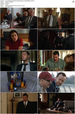 Blue Bloods S04 WEBRip EAC3 5 1 1080p x265-iVy