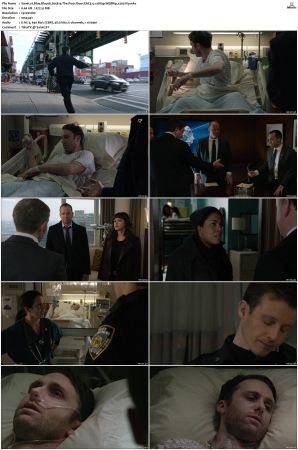 Blue Bloods S05 WEBRip EAC3 5 1 1080p x265-iVy