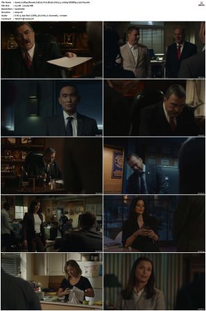 Blue Bloods S13 WEBRip EAC3 5 1 1080p x265-iVy