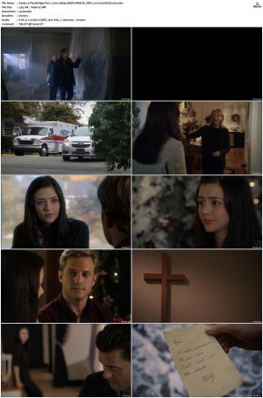The Bridge Part 2 2016 1080p AMZN WEB-DL DDP 2.0 H264-EDGE2020