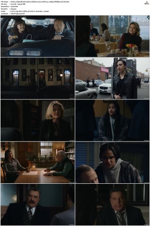 Blue Bloods S13 WEBRip EAC3 5 1 1080p x265-iVy