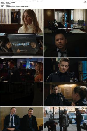 Blue Bloods S07 WEBRip EAC3 5 1 1080p x265-iVy