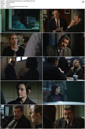 Blue Bloods S09 WEBRip EAC3 5.1 1080p x265-iVy