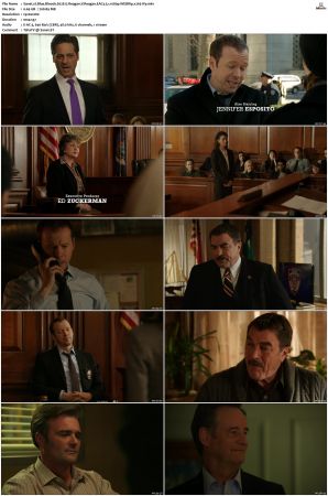 Blue Bloods S02 WEBRip EAC3 5 1 1080p x265-iVy