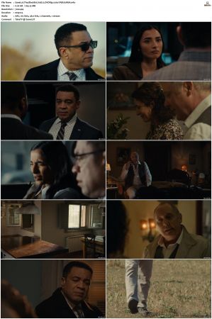 The Blacklist S01-S10 + Redemption DVDRip BDRip x264-Scene