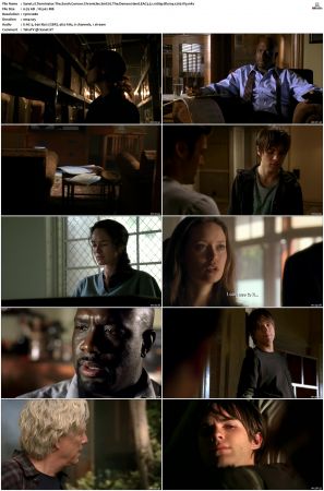 Terminator The Sarah Connor Chronicles S01 Bluray EAC3 5 1 1080p x265-iVy
