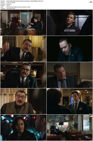 Blue Bloods S10 WEBRip EAC3 5.1 1080p x265-iVy