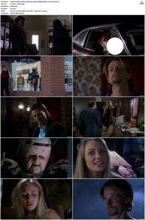 Head of the Family 1996 1080p WEBRip DDP 2.0 H265-iVy