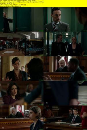 Law and Order S23E09 720p HDTV x264-TBS