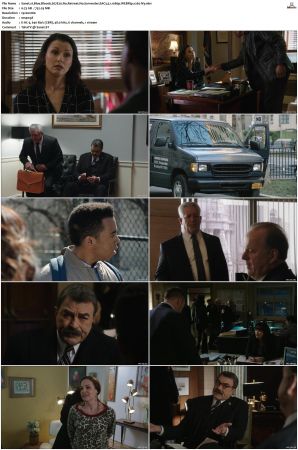 Blue Bloods S07 WEBRip EAC3 5 1 1080p x265-iVy