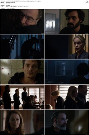Homeland S05 Bluray EAC3 5 1 1080p x265-iVy