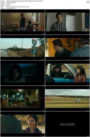 The Fundamentals of Caring 2016 1080p NF WEB-DL DDP5.1 H264-FLUX