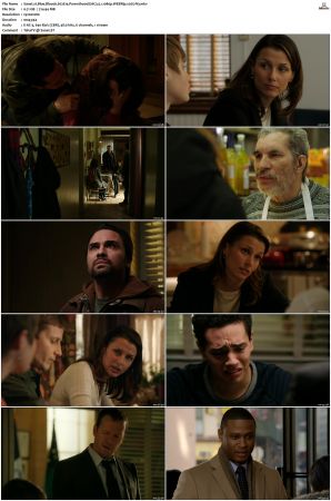 Blue Bloods S02 WEBRip EAC3 5 1 1080p x265-iVy