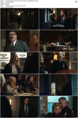 Blue Bloods S10 WEBRip EAC3 5.1 1080p x265-iVy