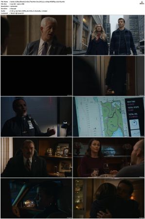 Blue Bloods S11 WEBRip EAC3 5 1 1080p x265-iVy