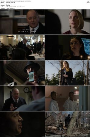 The Blacklist S01-S10 + Redemption DVDRip BDRip x264-Scene