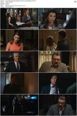 Blue Bloods S10 WEBRip EAC3 5.1 1080p x265-iVy