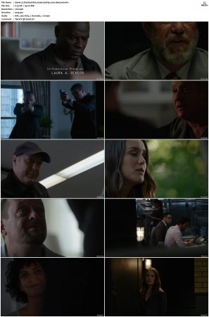 The Blacklist S01-S10 + Redemption DVDRip BDRip x264-Scene