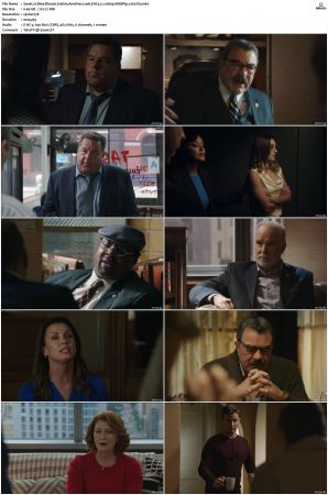 Blue Bloods S10 WEBRip EAC3 5.1 1080p x265-iVy