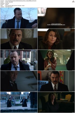 Blue Bloods S04 WEBRip EAC3 5 1 1080p x265-iVy