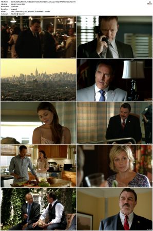 Blue Bloods S03 WEBRip EAC3 5 1 1080p x265-iVy