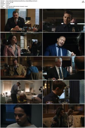 Blue Bloods S09 WEBRip EAC3 5 1 1080p x265-iVy