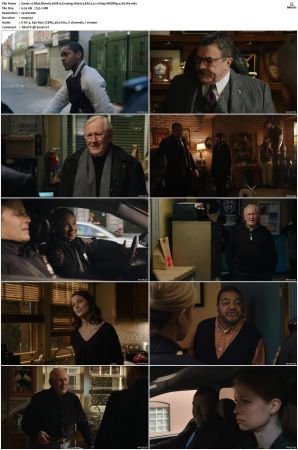 Blue Bloods S08 WEBRip EAC3 5 1 1080p x265-iVy