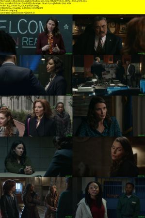 Blue Bloods S14E06 Shadowland 720p AMZN WEB-DL DDP5 1 H 264-NTb
