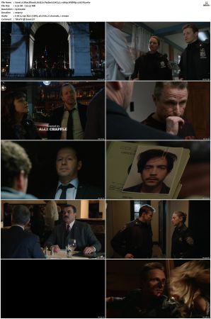 Blue Bloods S05 WEBRip EAC3 5 1 1080p x265-iVy