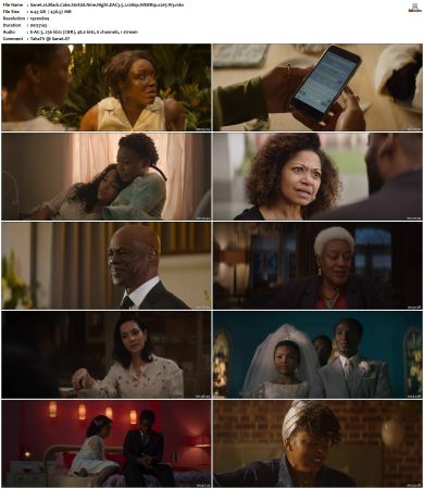 Black Cake S01 WEBRip EAC3 5 1 1080p x265-iVy