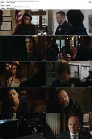 Blue Bloods S10 WEBRip EAC3 5.1 1080p x265-iVy