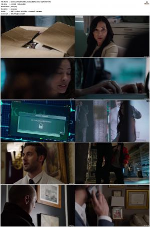 The Blacklist S01-S10 + Redemption DVDRip BDRip x264-Scene
