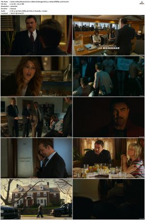 Blue Bloods S02 WEBRip EAC3 5 1 1080p x265-iVy