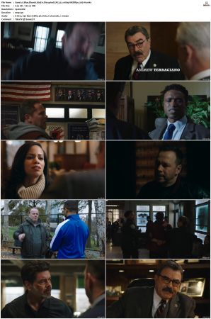 Blue Bloods S09 WEBRip EAC3 5 1 1080p x265-iVy