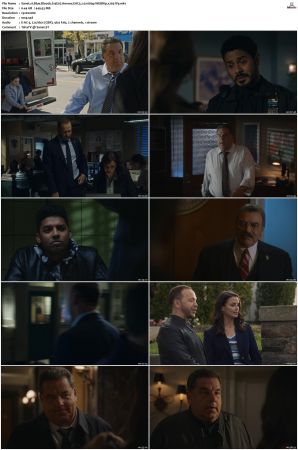 Blue Bloods S13 WEBRip EAC3 5 1 1080p x265-iVy