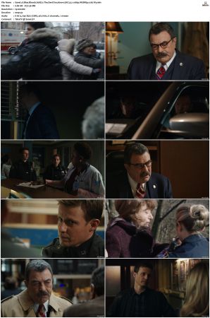 Blue Bloods S08 WEBRip EAC3 5 1 1080p x265-iVy